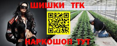 молекула духа Краснодар
