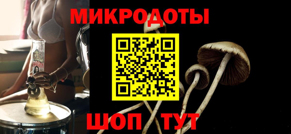 Галлюциногенные грибы мицелий Кольчугино