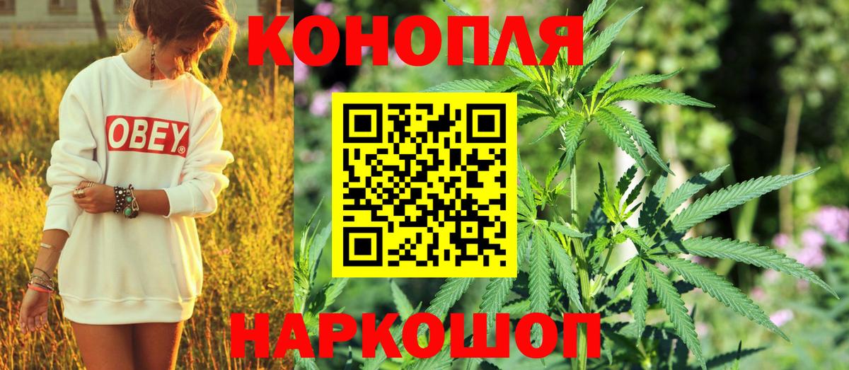 Каннабис SATIVA & INDICA Кольчугино